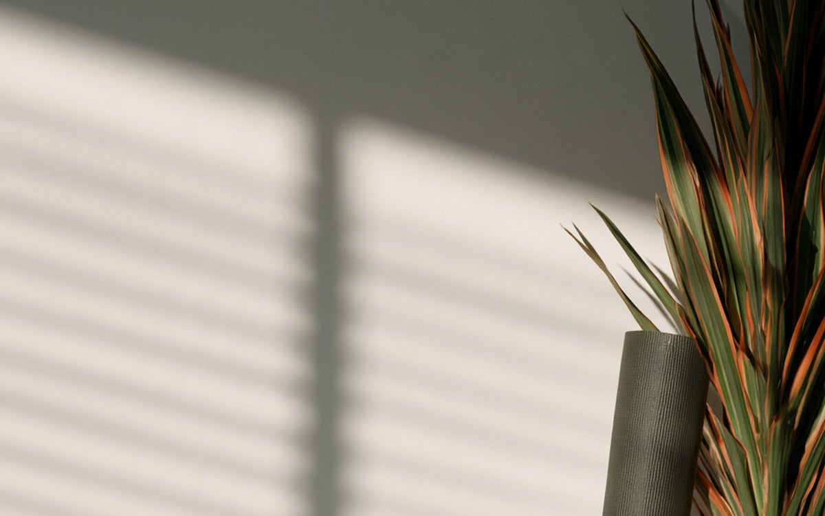 Morning light falling through blinds onto a pale wall beside a rolled mat