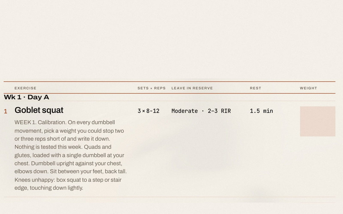 A session page: one exercise row with sets, reps, effort, rest, and an empty weight cell