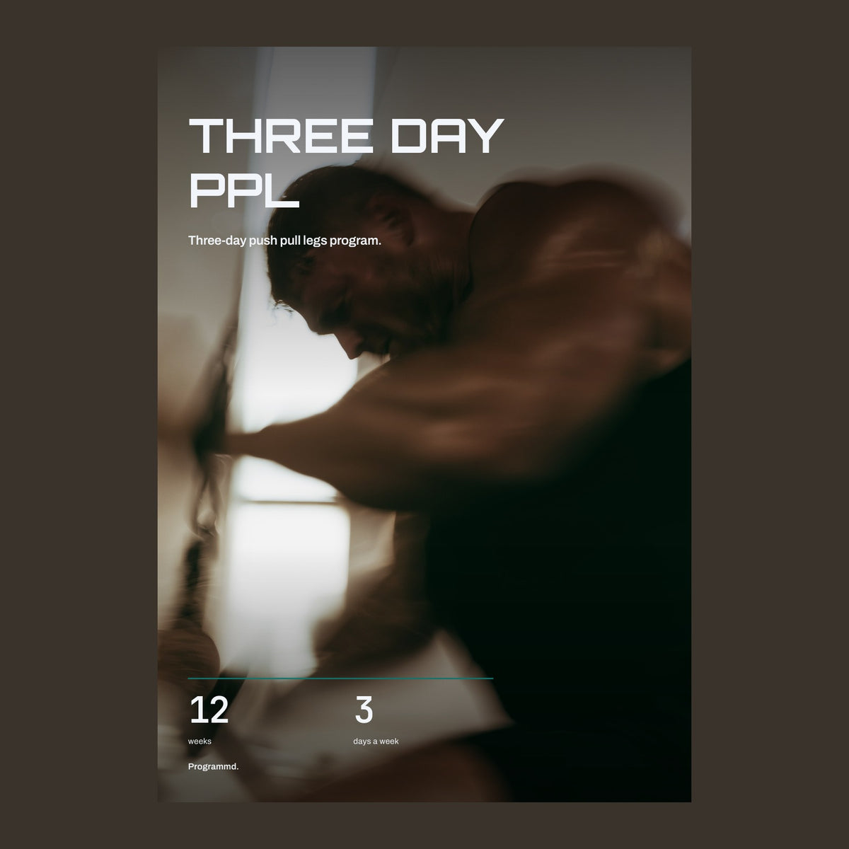 Three Day PPL cover: twelve weeks, three days a week.