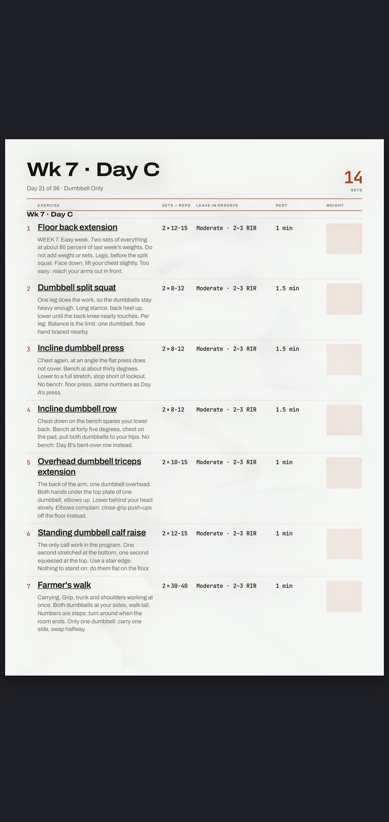 A real session page from Dumbbell Only: sets, reps, effort target and rest, printed